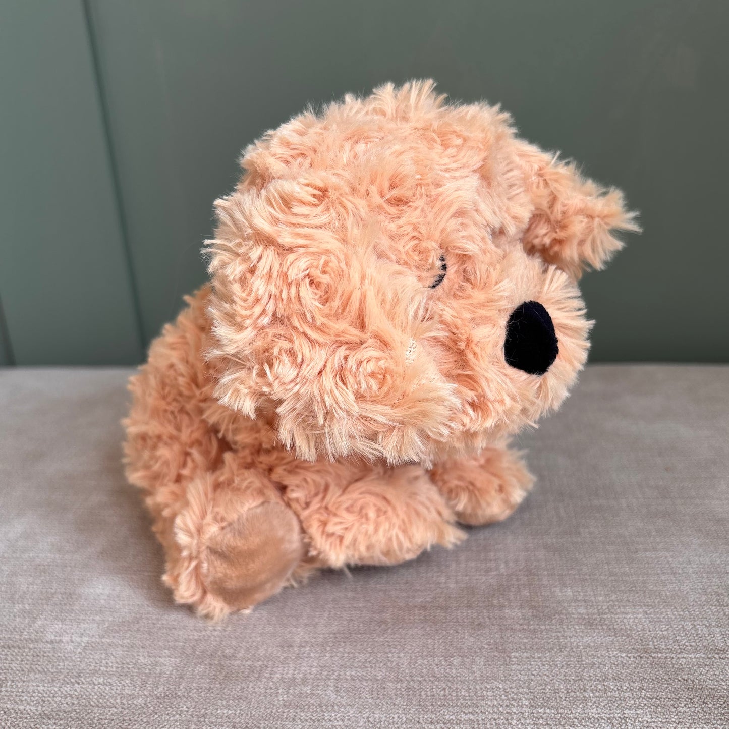 Dog Hot or Cold Soft Teddy