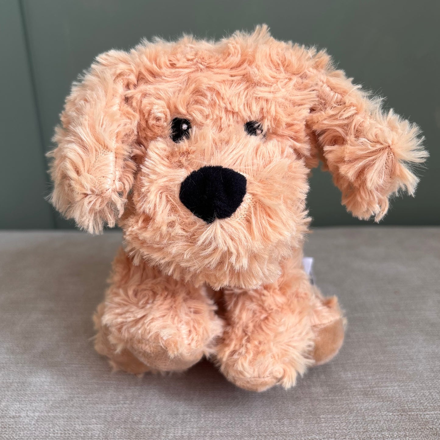 Dog Hot or Cold Soft Teddy